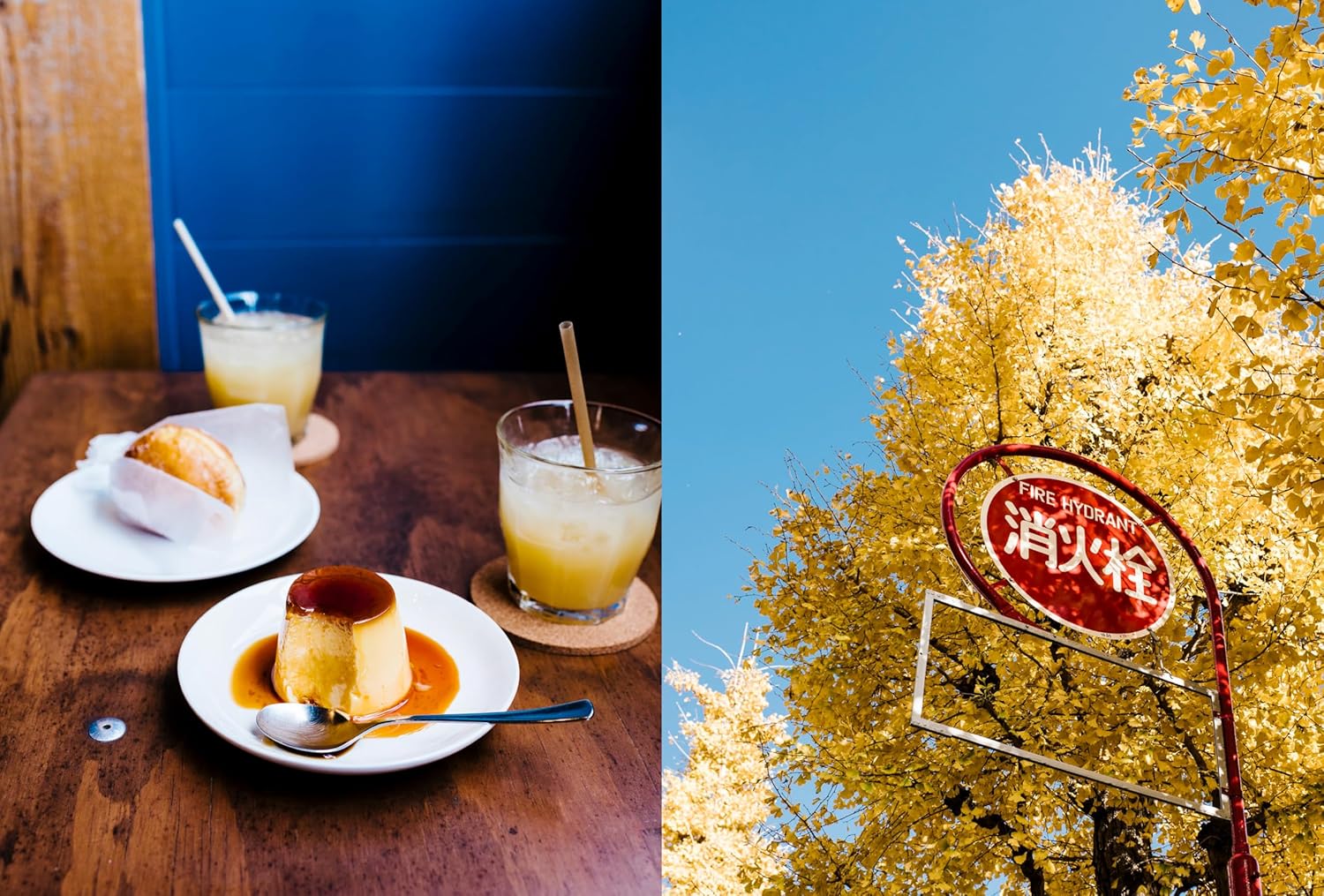 A Day in Tokyo: A Japanese Cookbook - Image 6