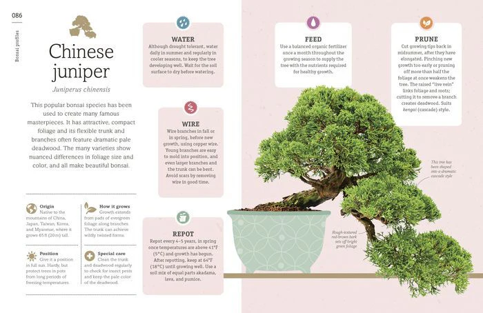 Happy Bonsai: Choose It, Shape It, Love It - Image 3