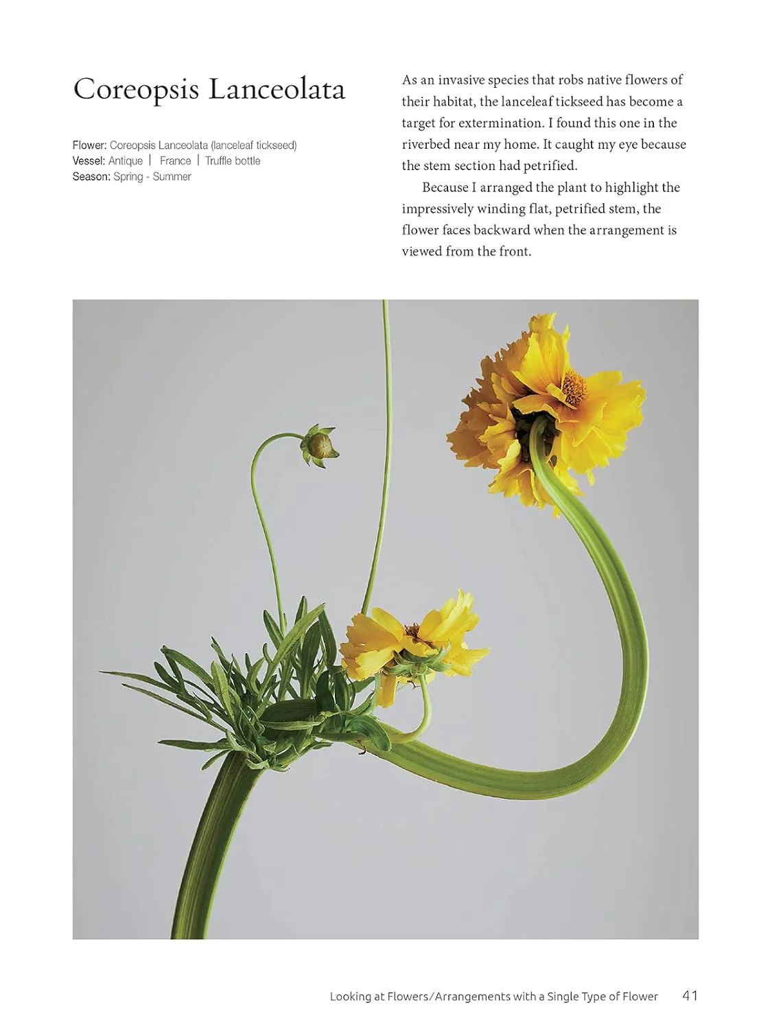 Ikebana: The Zen Way of Flowers - Image 4