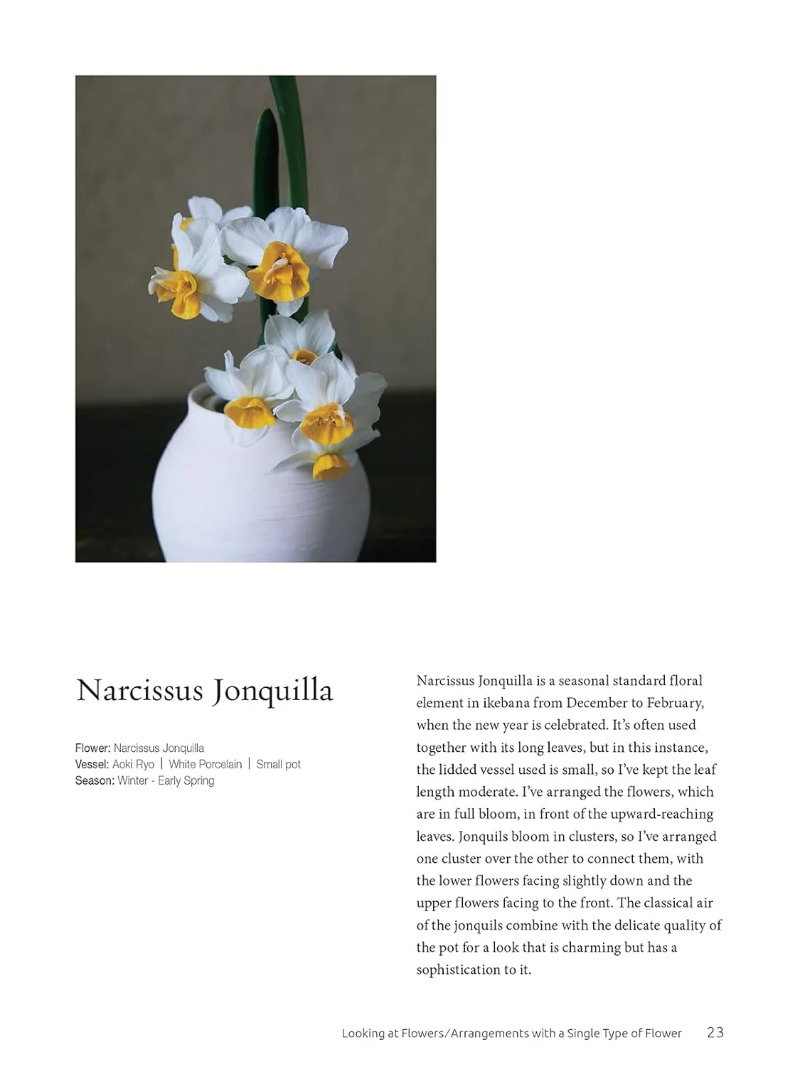 Ikebana: The Zen Way of Flowers - Image 5