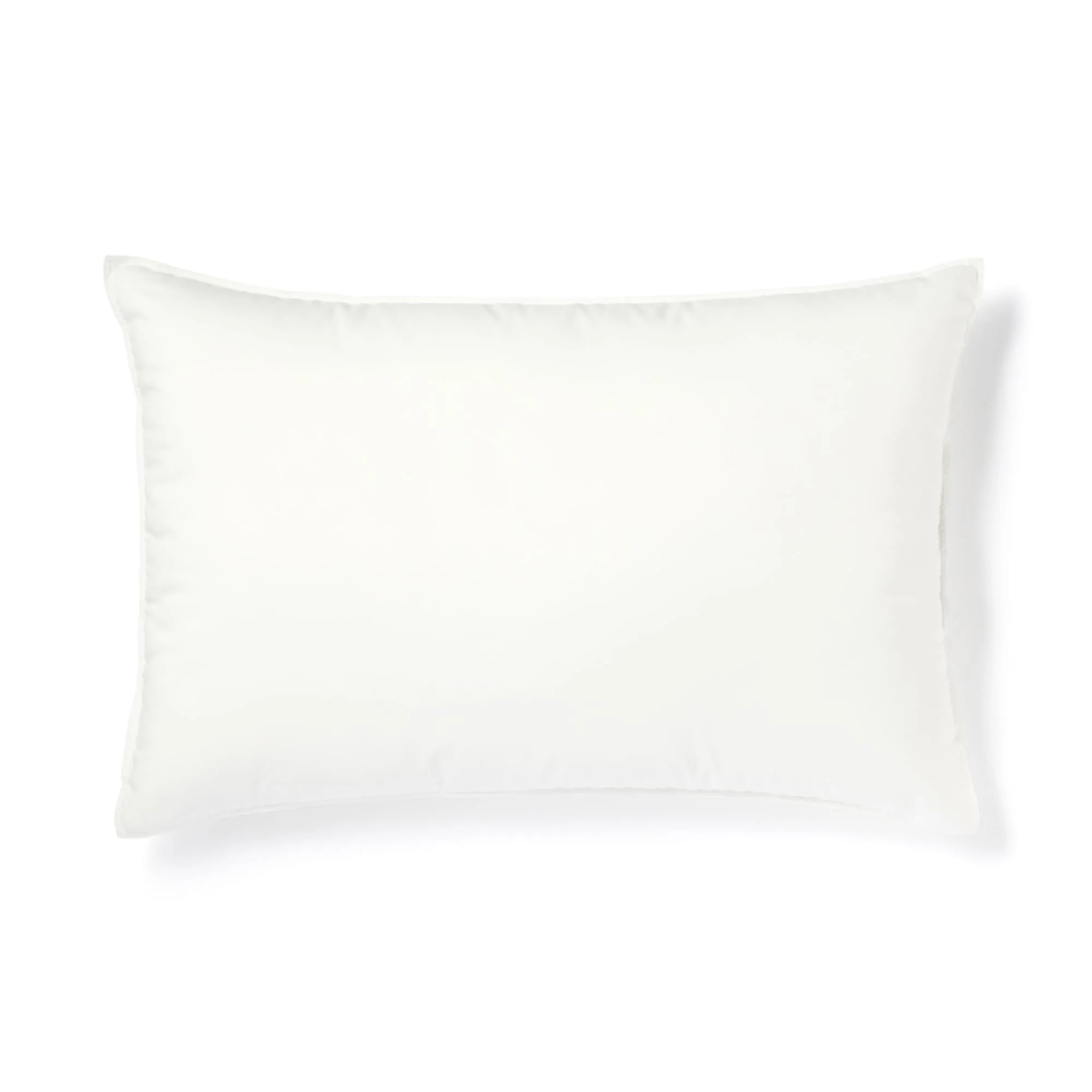 Quick Dry Fluffy Pillow (17 x 25")