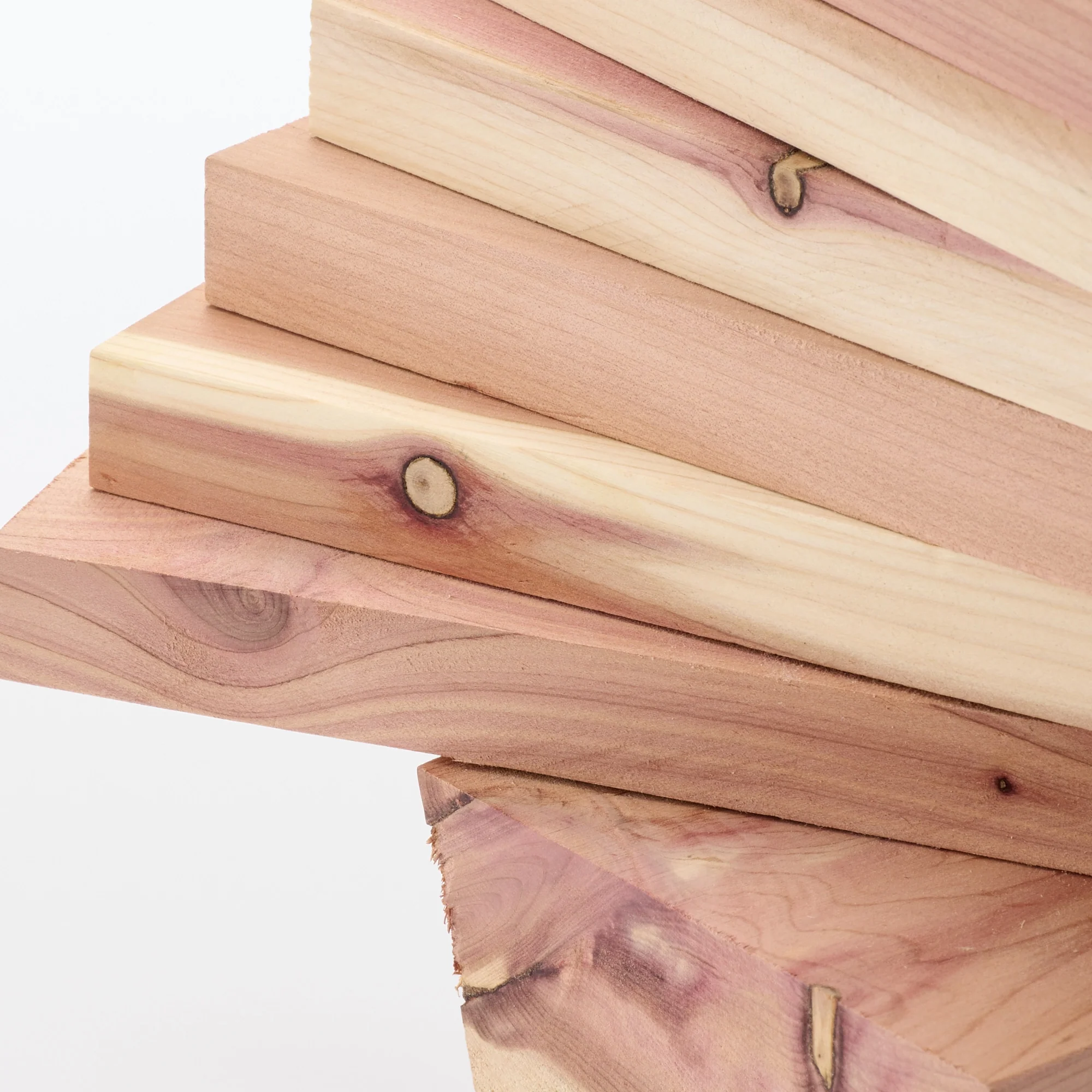 Remnant Red Cedar Wood Tree - Large - Image 3