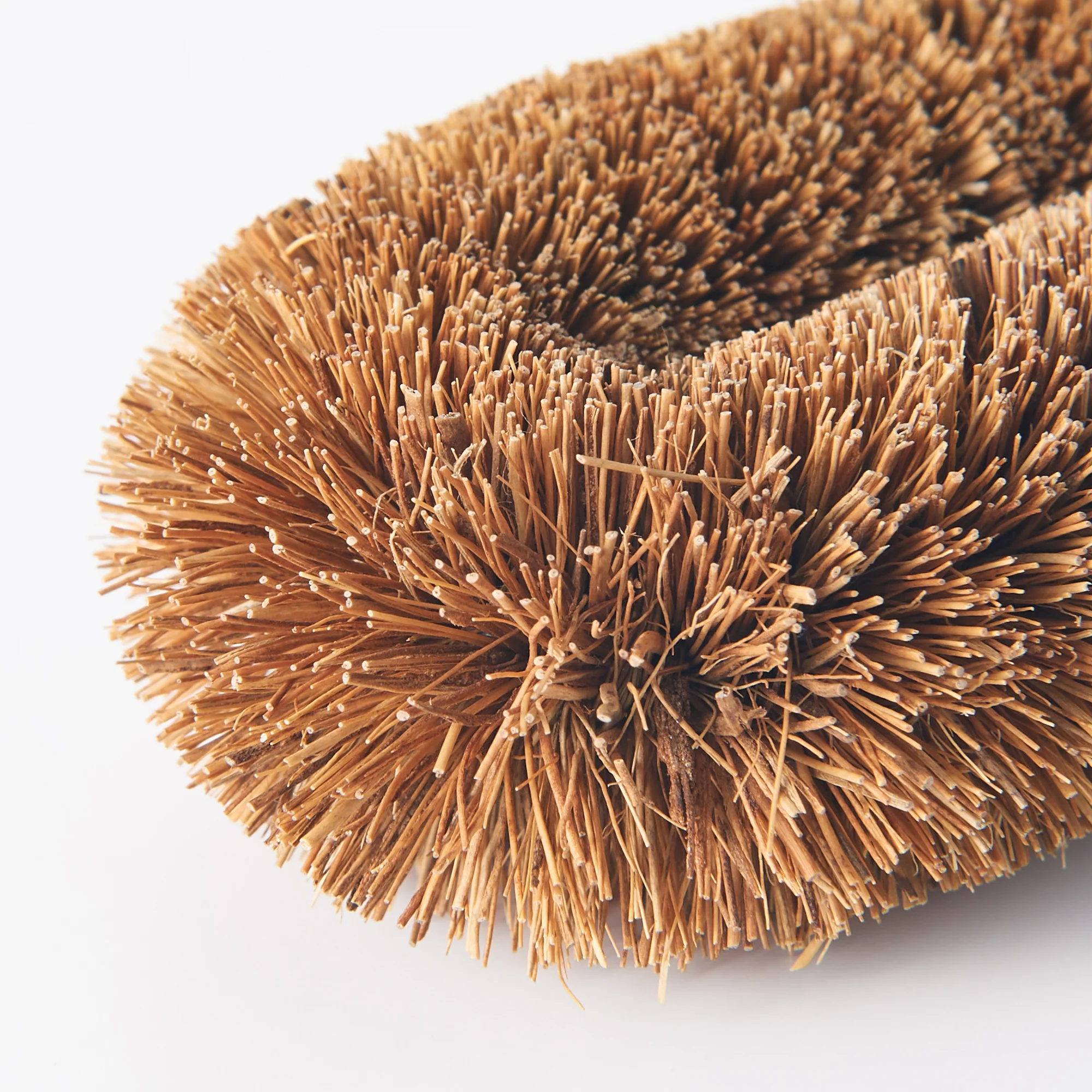 Scourer - Image 4