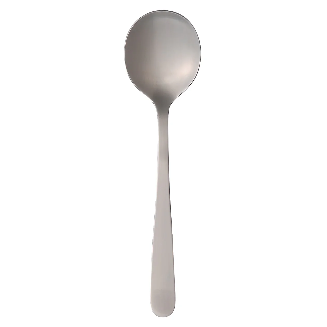 Stainless Steel Serving Spoon